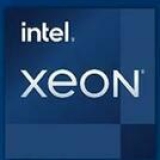 Overklokte Intel Xeon W9-3495X haalt hoogste score ooit in Cinebench R23 – Computer – Nieuws